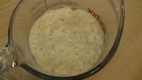 Ricetta Lievito naturale 8