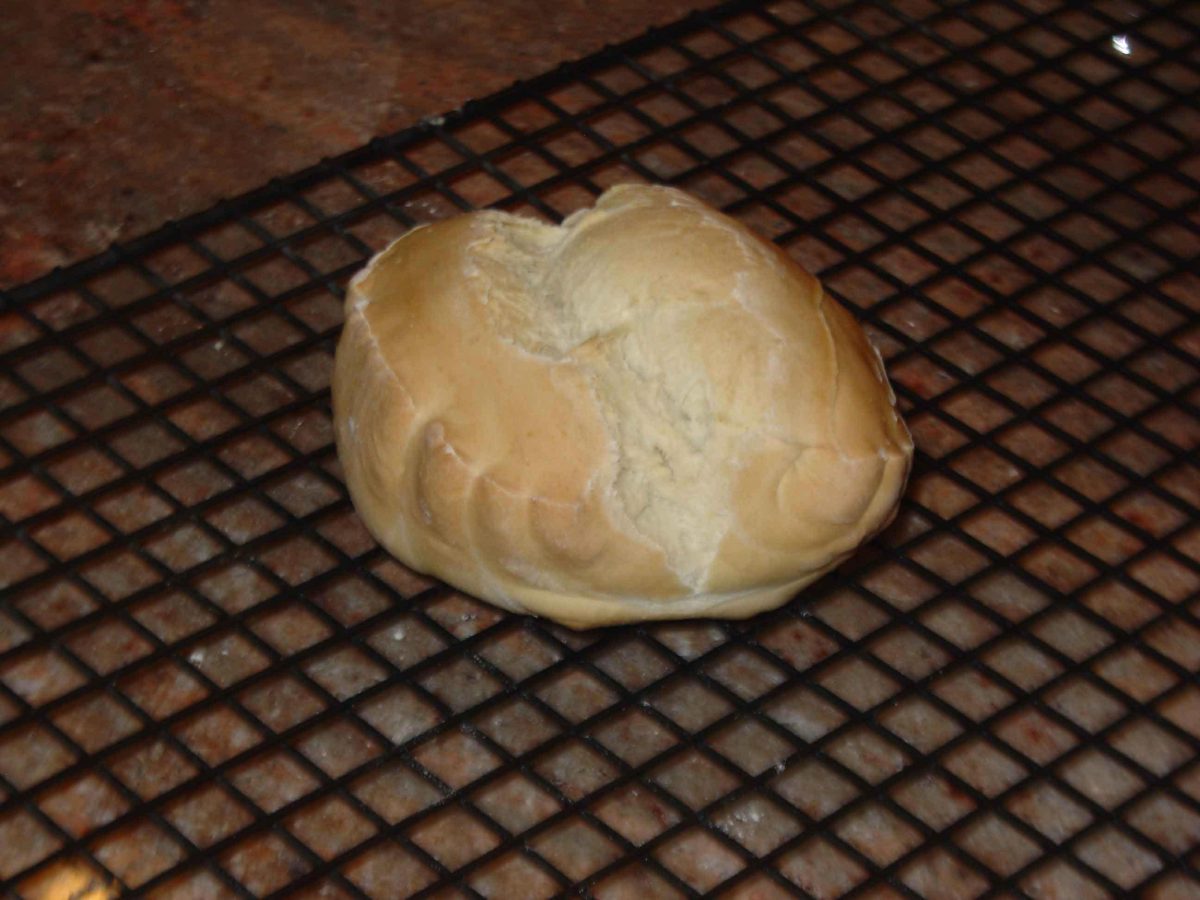 Minollo Pane