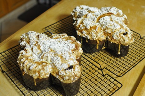 Colomba Pasquale
