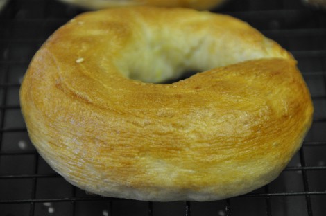 Bagel