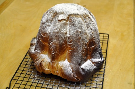 Pandoro