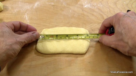 Panini Hot Dog