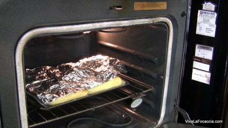 Panini Hot Dog