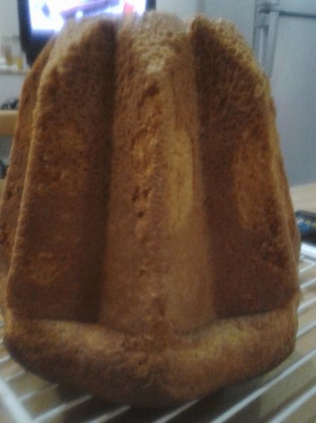pandoro
