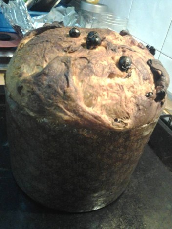 panettone mio