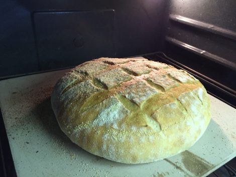 Pane Pre-Fermento