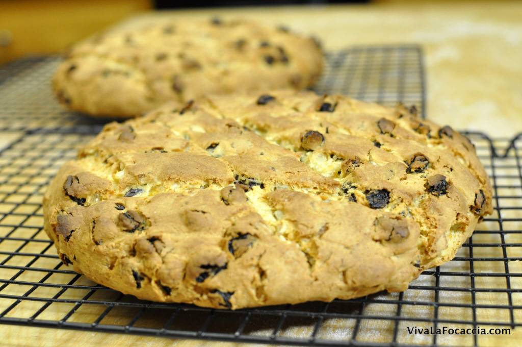 Ricetta Pandolce Basso Genovese - VivaLaFocaccia